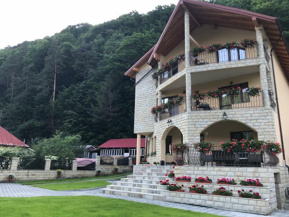 فندق سلانيك مولدوفافي  Casa Andra المظهر الخارجي الصورة
