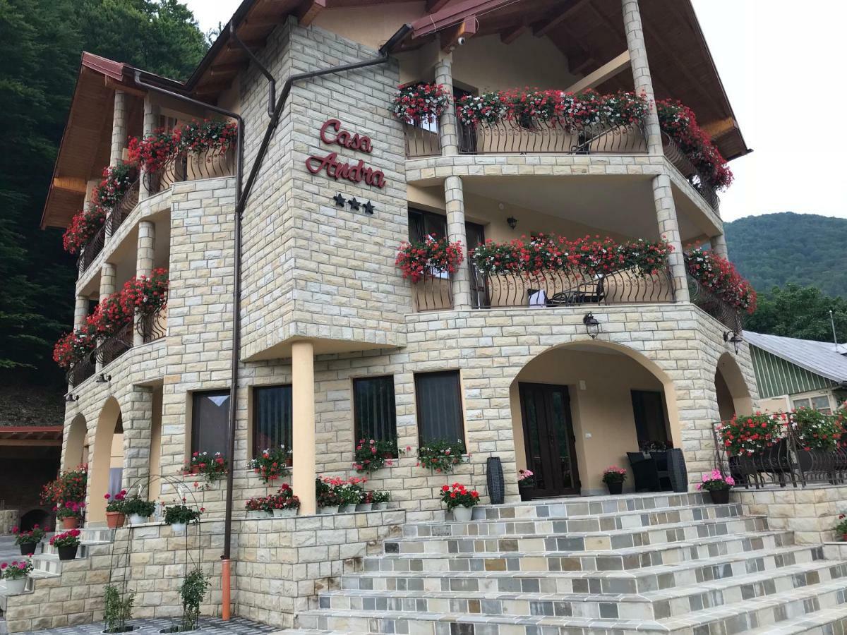 فندق سلانيك مولدوفافي  Casa Andra المظهر الخارجي الصورة